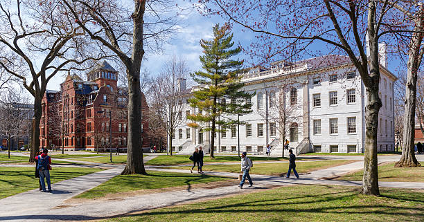 Medical Fellowship Programs in Austrian Universities